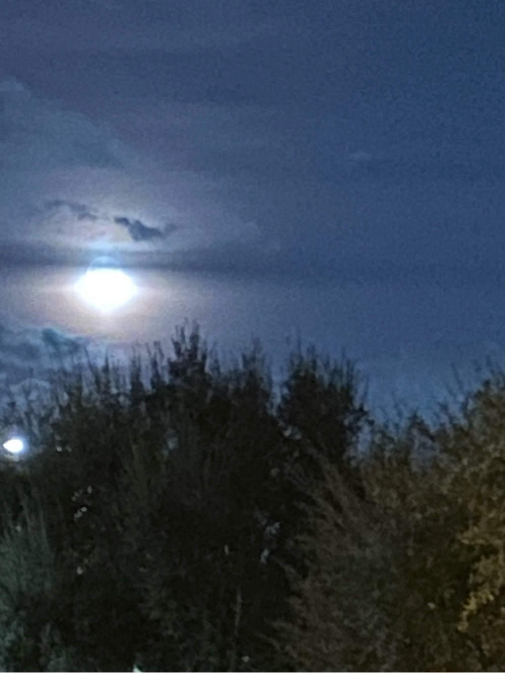 Night